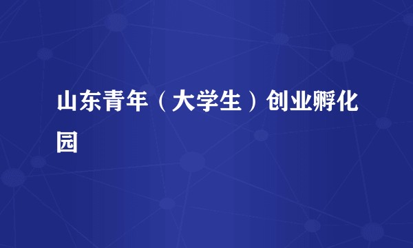 山东青年（大学生）创业孵化园