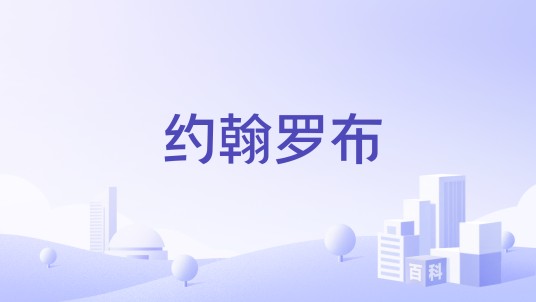 约翰罗布