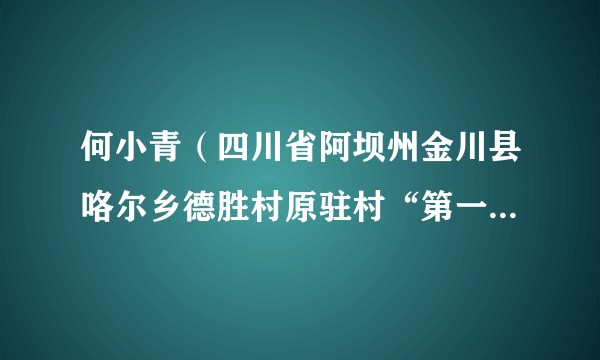 何小青(四川省阿坝州金川县咯尔乡德胜村原驻村“第一书记”)