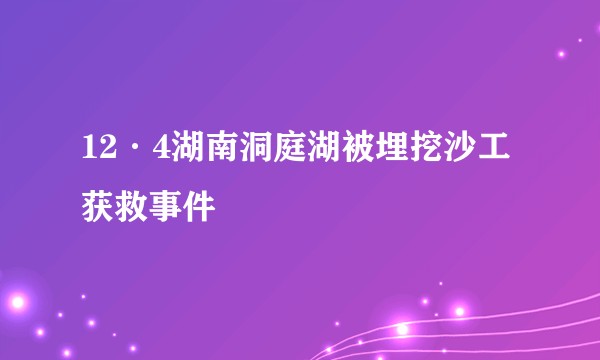 12·4湖南洞庭湖被埋挖沙工获救事件