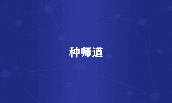 种师道