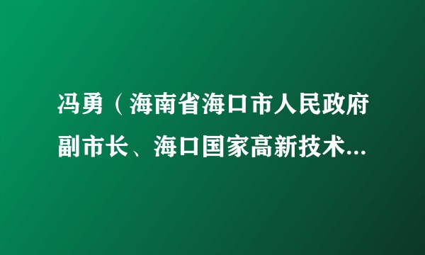 冯勇（海南省海口市人民政府副市长、海口国家高新技术产业开发区工委书记）