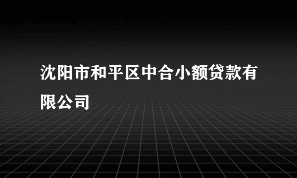 沈阳市和平区中合小额贷款有限公司