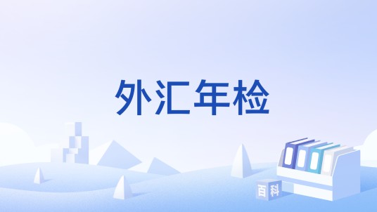 外汇年检