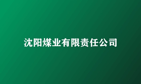 沈阳煤业有限责任公司