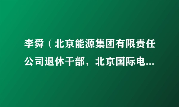 李舜(北京能源集团有限责任公司退休干部,北京国际电力开发投资公司原党组书记、董事长)