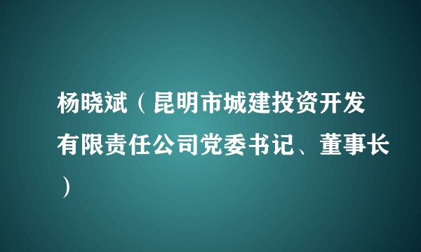 杨晓斌（昆明市城建投资开发有限责任公司党委书记、董事长）