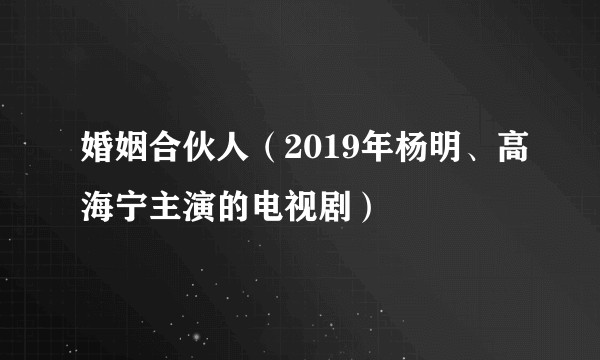 婚姻合伙人（2019年杨明、高海宁主演的电视剧）