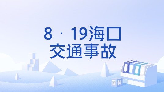 8·19海口交通事故