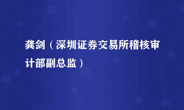 龚剑（深圳证券交易所稽核审计部副总监）