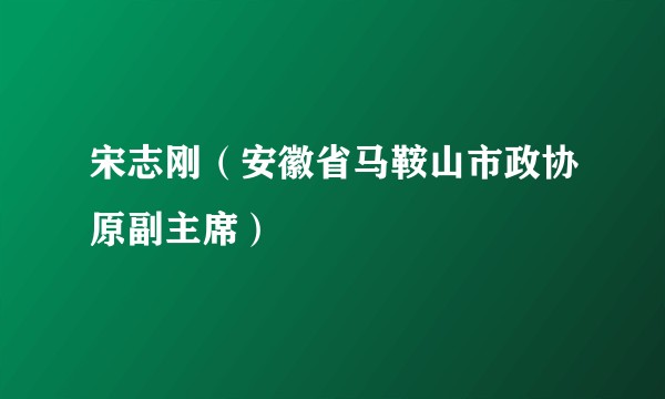 宋志刚（安徽省马鞍山市政协原副主席）