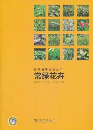 园林植物图鉴丛书常绿花卉