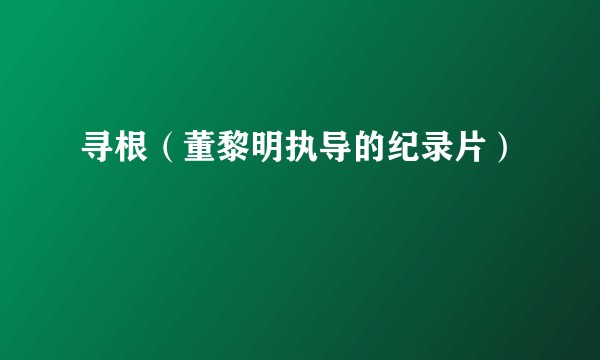 寻根（董黎明执导的纪录片）
