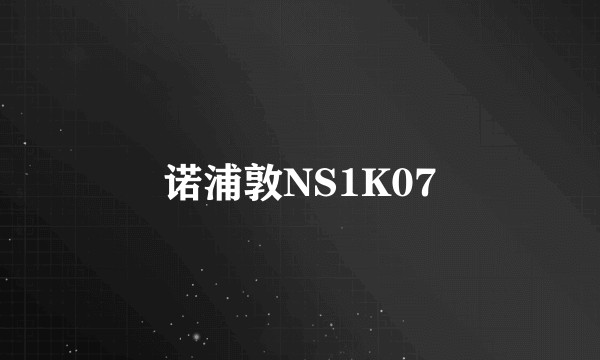 诺浦敦NS1K07