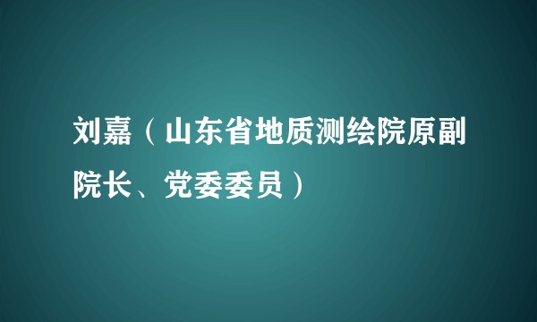 刘嘉(山东省地质测绘院原副院长、党委委员)
