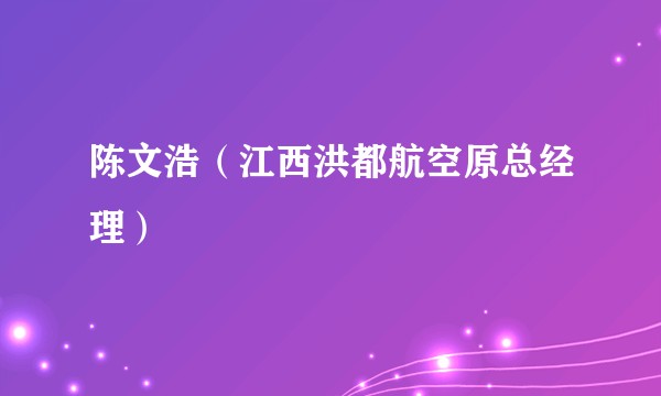 陈文浩（江西洪都航空原总经理）