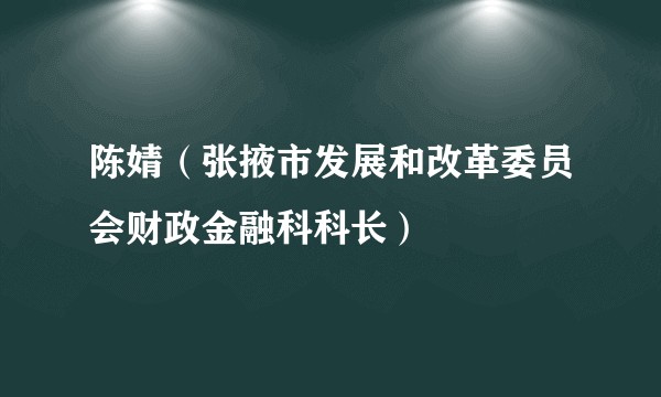 陈婧（张掖市发展和改革委员会财政金融科科长）