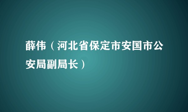 薛伟（河北省保定市安国市公安局副局长）