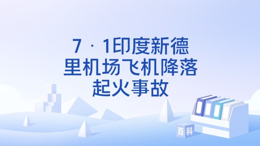 7·1印度新德里机场飞机降落起火事故