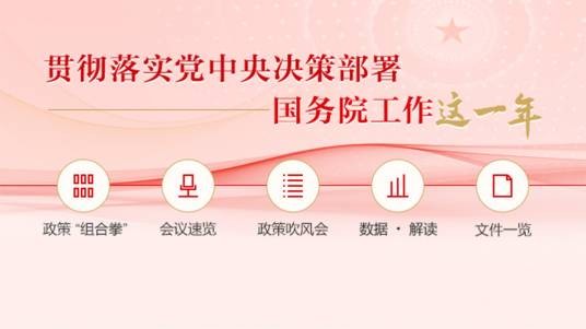 贯彻落实党中央决策部署国务院工作这一年