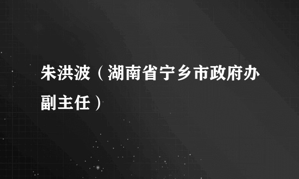 朱洪波(湖南省宁乡市政府办副主任)