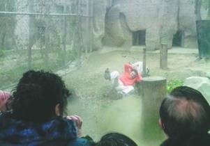 惹虎男