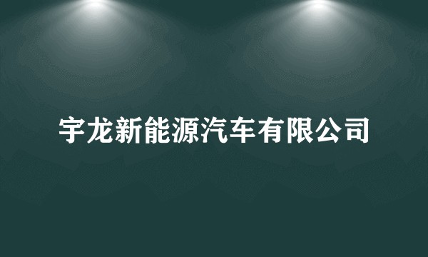 宇龙新能源汽车有限公司