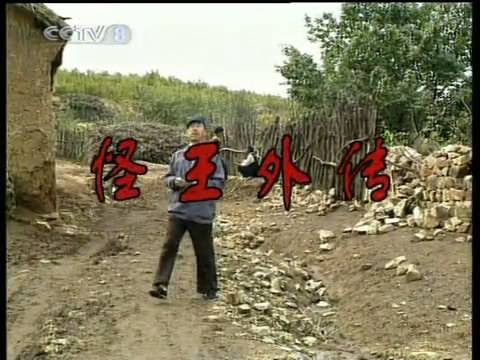 怪王外传