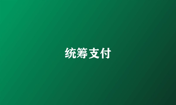 统筹支付