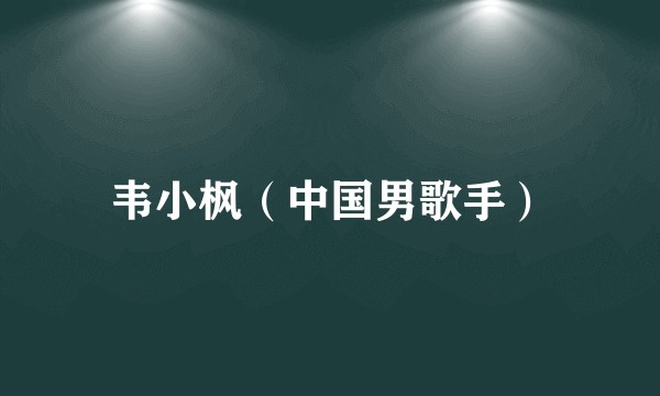 韦小枫（中国男歌手）