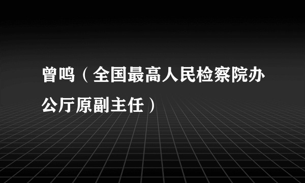 曾鸣(全国最高人民检察院办公厅原副主任)