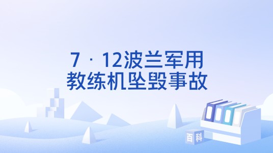 7·12波兰军用教练机坠毁事故