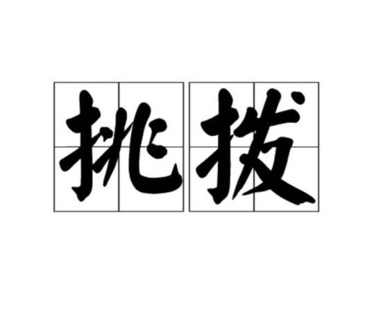 挑拨(汉语词语)