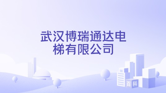 武汉博瑞通达电梯有限公司