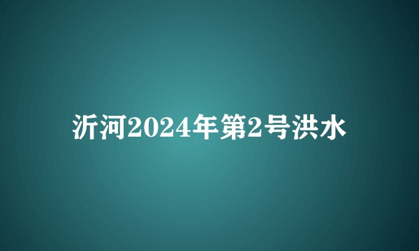 沂河2024年第2号洪水