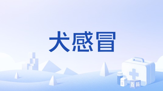 犬感冒
