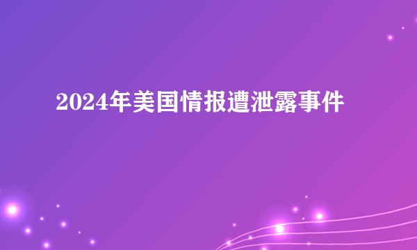 2024年美国情报遭泄露事件