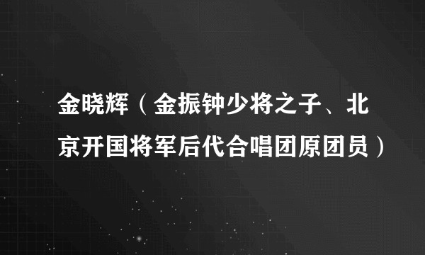 金晓辉(金振钟少将之子、北京开国将军后代合唱团原团员)