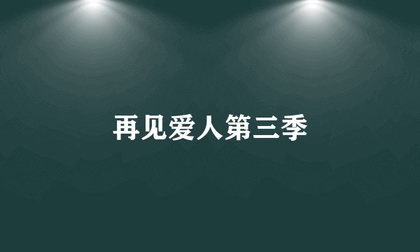 再见爱人第三季
