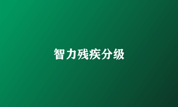 智力残疾分级