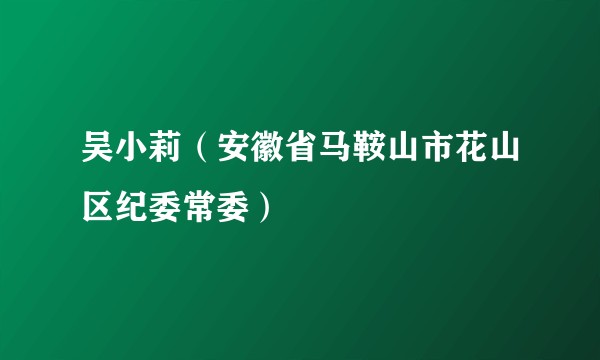 吴小莉（安徽省马鞍山市花山区纪委常委）
