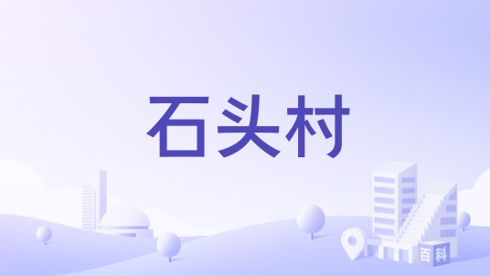 石头村（广东省揭阳市空港经济区地都镇下辖行政村）