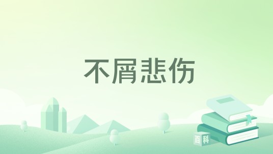 不屑悲伤（小说）