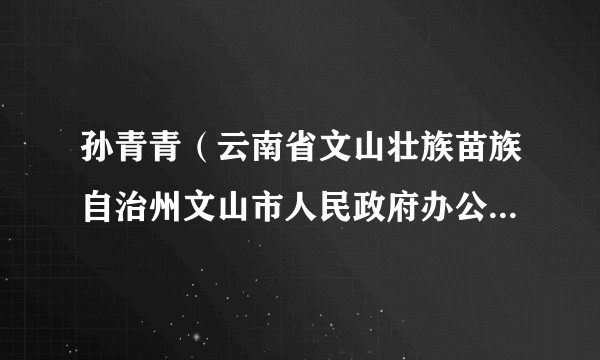 孙青青（云南省文山壮族苗族自治州文山市人民政府办公室主任）