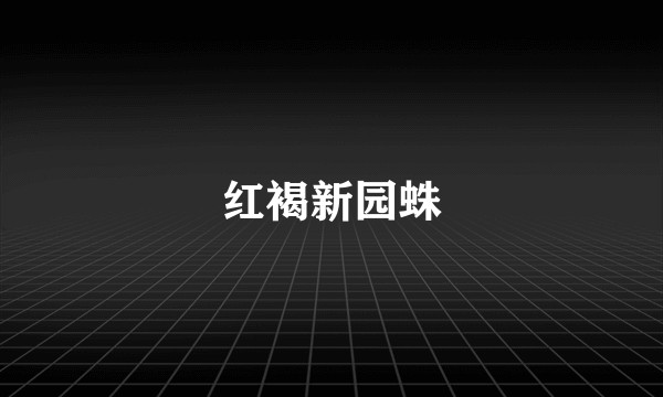 红褐新园蛛