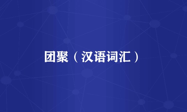 团聚（汉语词汇）