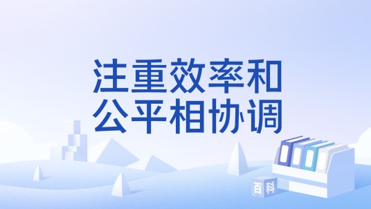 注重效率和公平相协调