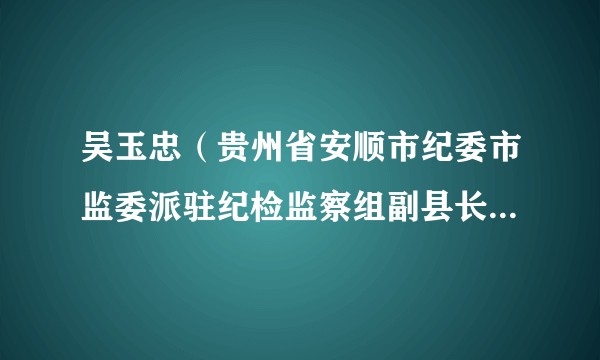 吴玉忠（贵州省安顺市纪委市监委派驻纪检监察组副县长级专职纪检监察员）
