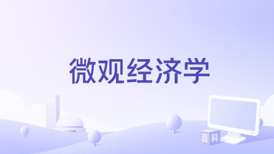 微观经济学（2012年阿尼什·查甘蒂执导的电影）