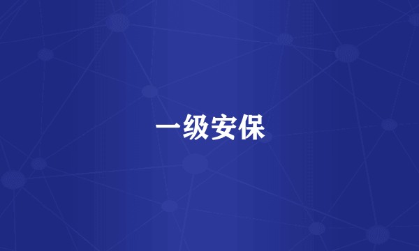 一级安保